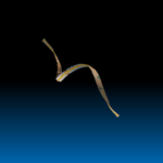 COB strip light 10W 10MM 10M 4K