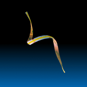 Flexi LED Strip lights 6500k 10W 10MM 10M