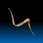 20W Flexi LED Strip lights 3000k IP65 10MM 5M