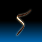 Cerian 8W Flexi LED Strip lights 3000k 5M