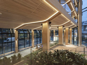 What Are COB LED Strip Lights? Complete Buyer's Guide